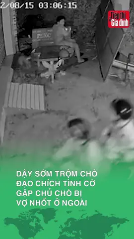 Dậy sớm trộm chó, đạo chích tình cờ gặp chủ chó bị vợ nhốt ở ngoài #giadinhnews#onhaxemtin #trendingnow #tiktoknews #hot #tintuc #genzlife #doisong