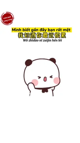 Cố gắng bạn nhé !#加油 #họctiếngtrungquavideo #cốgắngmỗingày #可爱视频 #studywithme #họctiếngtrung #hánngữlingling #họctiếngtrung 