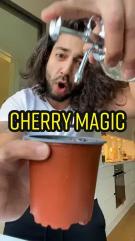 1 seed can produce 25lbs of cherries..😳🍒 #cherry #gardening #planttiktok #howto 