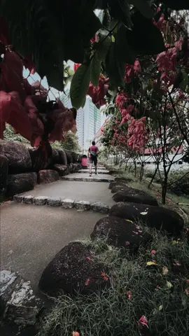 Simple tip to improve your photography! #photography #photohacks #phototips