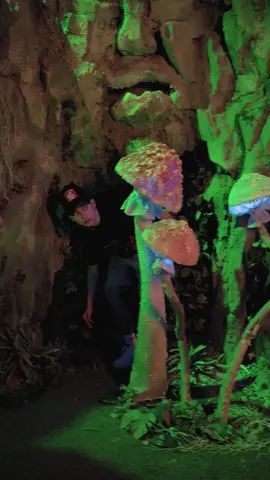 А вы уже играли в 3 часть Genshin? @genshin_impact_ru  #GenshinImpact #GenshinTeleport #Collei #Dori #Tighnari #Sumeru