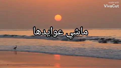#fypシ #viral #تونس🇹🇳 #الجزئر🇩🇿 #ليبيا🇱🇾 ❤❤❤