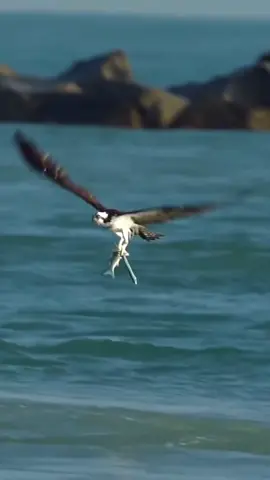 It catches more fish than I do！