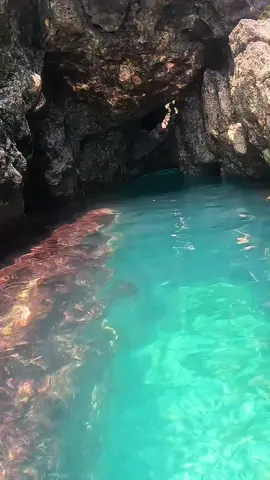 deniz mağrası #keşfetbeniöneçıkar #divingforlife #lifes