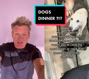#duet with @determineddogmom Now that’s what I call the dogs #dinner !! #ramsayreacts 