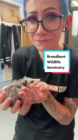 Today was a gift #Vlog #opossum 
