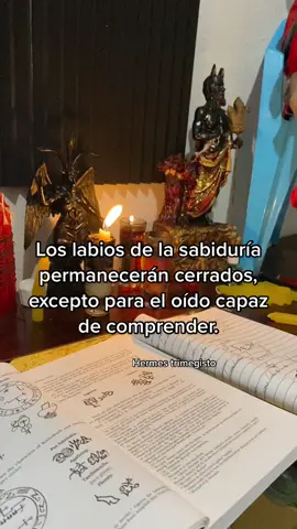 #GenshinTeleport #HolaColorMaybelline #hermes #kybalion #hermestrismegistus #ciencias #fy #frase 