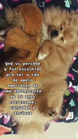 O CHANDLER DORMIUKKKKKKKJKJKKK #cao #apoioemocional #fy #fyp #chandlerbing