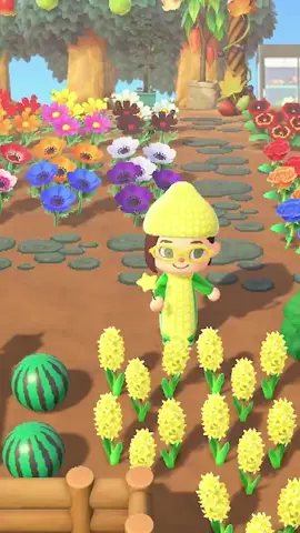 I couldn’t resist contributing to #corntok🌽 because I really love #corn. The lil boy that the original interview was with is precious and @schmoyoho is a musical genius. This is stuck in my head 😂.  I had to put an #animalcrossingnewhorizons spin on this. I’ll post my outfit design code on #instagram. 