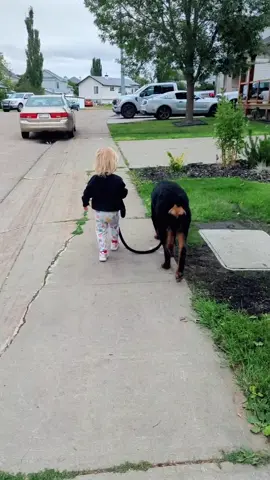Forever best buddies 🖤 Atlas is 8 months now and these two are joined at the hip. #foryoupage #bestfriend #PetsOfTikTok #dogtok #rottweiler #fyp #rottweilersoftiktok #toddler #dogsofttiktok  #protectiondog #walks