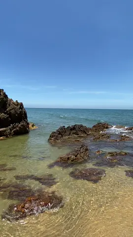 Bai Đá Nhảy #quảngbình  #tiktok #hottrend 