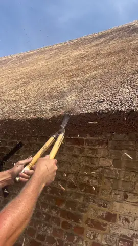The sound of thatching 🫠 #thethatchingguy #asmr #sound #satisfying #fyp #foryou