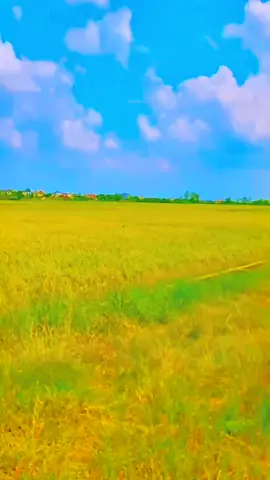 Quê hương anh đồi xanh bát ngát yên bình...💚#xuhuong #xuhuongtiktok #nhacchillphet🎶 #nhacchill🎵 #nhachaymoingay #NhacHayMoiNgay #trending #fyp #chill #tiktok #quyen_nobi_2k6 #quyen_nobi_k6