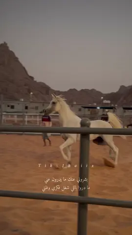 كل ماسموك باسمك فز قلبي🫀.               #hail#مربط_عقده#نجم#خيل#خيول#horse#fypシ#viralvideo#هلا1haiix#explor#خالد_الفيصل 