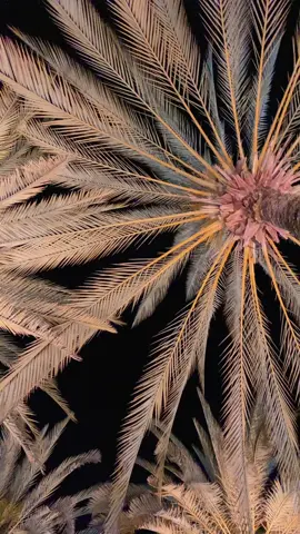 #flamboyantshopping #goiania #foryou #fy