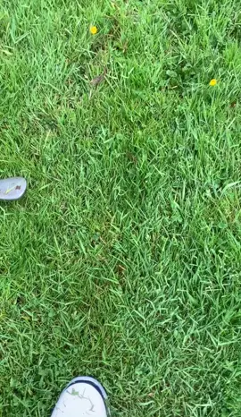 #golf #divot #golftiktok #golffail