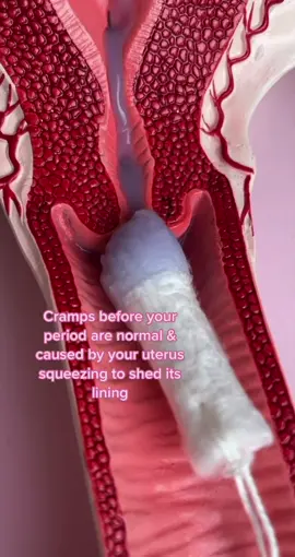 Your uterus doing all the work on your period 💪🩸#cheekybonsai #periods #tampons #periodcramps #cramps #pms #womenshealth