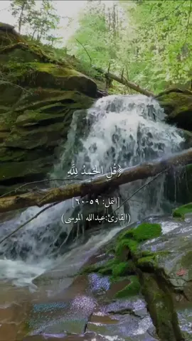 ﴿قل الحمد لله وسلام على عباده الذين اصطفى آلله خير أما يشركون﴾ [النمل: ٥٩-٦٠] #القران_الكريم #سورة_النمل #القارئ_عبدالله_الموسى #سبحان_الله #oops_alhamdulelah #لا_اله_الا_الله #الله_اكبر #لاحول_ولاقوة_الا_باللە 