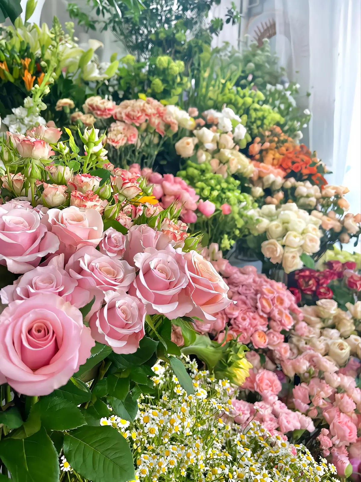 #flowers #peaceful #hoa #yênbinh #canhdepthiennhien #xuhuong #xh #viral