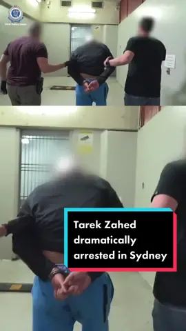Comanchero sergeant-at-arms Tarek Zahed has been dramatically arrested on a busy Sydney street and charged with a 2014 murder. #truecrime #sydney #tarekzahed #comanchero #bikie