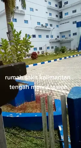 #kalimantan tengah#muarateweh #berandatiktok 