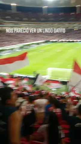 #ultras #barrabrava #ligamx #irreverente #chivasmanda #chivas #hinchas #ligamx2022 #guadalajara #futbol