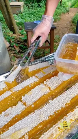 Delicious honey🐝🍯🥰 #ReTokforNature #wildhoney #honey #bee #honeycomb #wildbees #foryoupage #usa #delicious