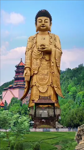 Seven-Star Temple Giant Golden Buddha Z statue is located in Seven-Star Temple, Zhejiang Province. The treasure statue is tall and straight, and the with an easy grace stands tall, which makes people feel awe at once. May everyone who sees him live a beautiful, safe and healthy life! # tourism # beauty # tourist attractions