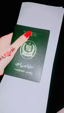 passport ty lag gya viza #foryou #foryoupage #viral #viral #trendingtiktokviral #viralvideotiktok #likecomment #nimramalik #passport song trending