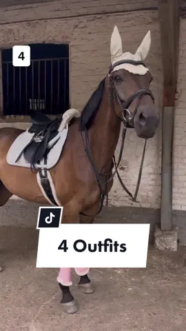 1, 2, 3 oder 4? Letzte ist gewagt aber ich fand‘s cool 😂 Achtet ihr darauf ob die Sachen beim Reiten zusammenpassen? Statt Klamotten kaufe ich jetzt Anziehsachen für mein Pferd 👀 #outfitcheck #pferdeoutfit #pferdeoutfits #pferd #pferde #equestrian #schabrackensuchti #eskadron