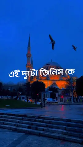 আমাদের প্রিয় নবী আমাদের জন্য যে দুটো জিনিস রেখে গেছেন#islamic। #foryou #সঠিকপথের #আবু_ত্বহা_মুহাম্মদ_আদনান #mijanur_rahman_ajahari #tiktok #islamic #tiktokpage 