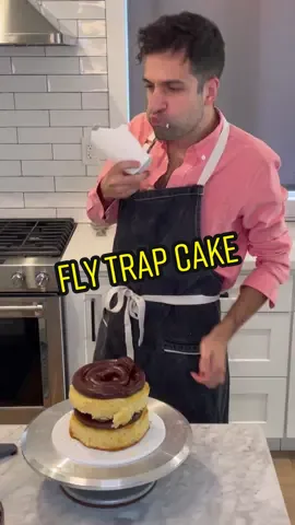 Catching flies is a piece of cake with @zevoinsect! #bugs #insecttrap #cake #isitcake #ad #tiktokmademebuyit