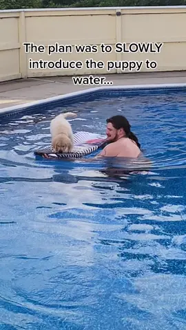 Obie’s first swimming lesson 😅 (don’t worry he was totally fine!!!) #fyp #puppy 