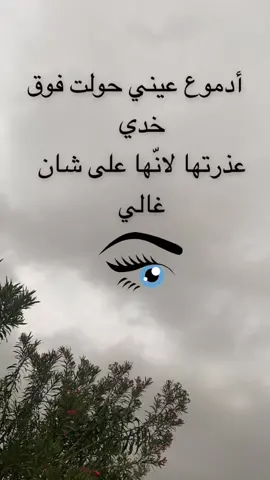 أدموع عيني حولت فوق خدي  ‏عذرتها لانّها على شان غالي💔من تصويري اكسبلورر لايك متابعه اضافه 