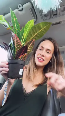 the ones who get it, get it 🪴🌱