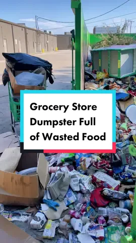 Behind a grocery store 😥 it was unsalvageable. #foodwaste #foodwastetips #dumpsterdiving #dumpsterdivingtips #dumpsterdivinggals #landfillsave #wastedfood #donatedontdump 