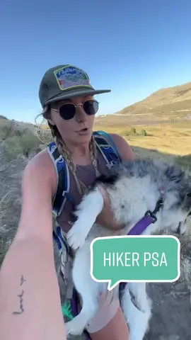 My heart SANK luckily I was between her and the lil fella🐍 #hiketok #goldencolorado #coloradohikes #coloradodogs #aussiesdoingthings #hikingwithdogs 