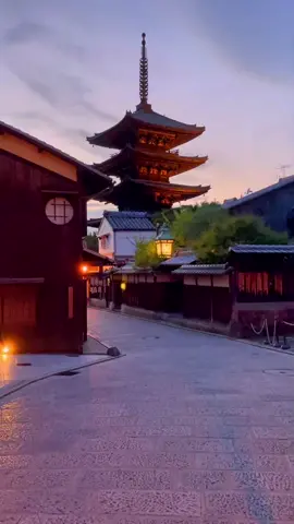 Wait for the birds 🥹🌸