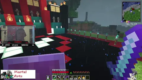 con un parecetamor te arreglas @artsmehh #Minecraft #angryland