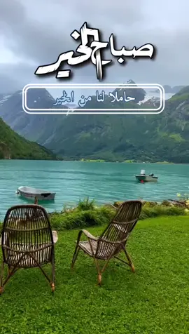 و لا يكون الصباح الا بدعوة مستجابة #صباح_الخير #صباحو #صباحيات #صباحكم_معطر_بذكر_الله #صباحيات #اللهم #يارب #دعاء