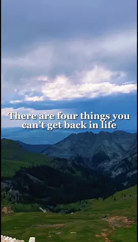Life Lessons - KuhlKountry American Bulldogs #fypage #lifelessons #naturelove #naturevibes #dogsoftiktok #americanbulldogs #kuhlkountry #petlover #capcut