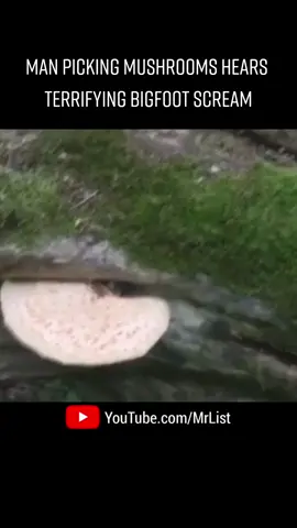 #paranormal #poltergeist #scary #ghost #hauntedtiktok #creepy #haunted #horror #spooky #ghosts #youtube #scarytiktoks #paranormalactivity #caughtoncamera #fyp 