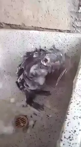 #tiktok #fenomeno #fare #istanbu #antep27 #turkeycomedy #izmir #ankara #photo #video #viral #türküler #hamam #duş #yıkanmakşart😄😄 #sabun 