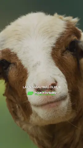 Ibrətamiz hekayə... #motivation #pozitivsen #motivasiya #pozitiv #hekayə