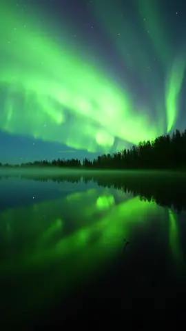 Growing aurora borealis 