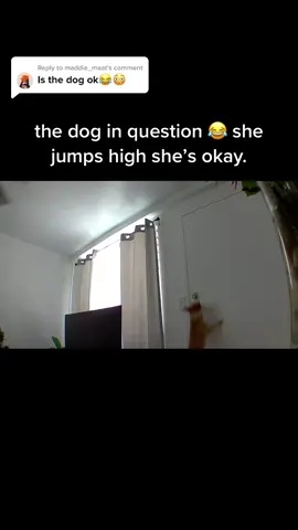 Replying to @maddie_maat mind you she can read the TOP lock 😭😂 