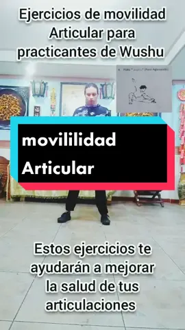 #mobility #mobilitytraining #mobilitychallenge #kungfu #kungfuwushu #wushu #marcialarts #artesmarciales #artesmarcialeschinas #salud #ejercicio #flexibility #flexibilidad #viral #reto #xzybca