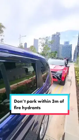 We're all about the chill vibes 😎...unless you mess with our hydrant access 👹. Make sure to park at least 3 metres from a hydrant so that we can easily use them in emergencies! #myscdf #ANationofLifesavers #tiktoksg