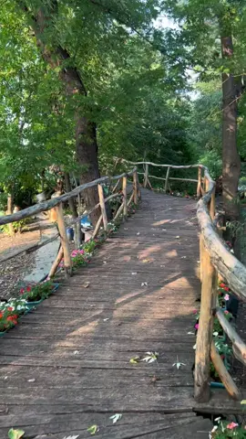 Last summer days in Belgrade🍃🍁 #konoba #belgrade #belgradeserbia #belgradewaterfront #serbia #serbian #serbia🇷🇸 #serbiantiktok #nature #naturevibes #aesthetic #aesthetics #vibes #aestheticvideos #aestheticvibes #danube #chill #chillvibes #vibes #sun #Summer #summer2022 #summervibes #summermood #2022 #tiktokserbia #beautiful #beautifulplaces #river