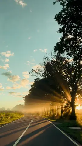 #sunrise #sunrays #quietmorning #beautifulmorning #morningview #natureview #epicsunset